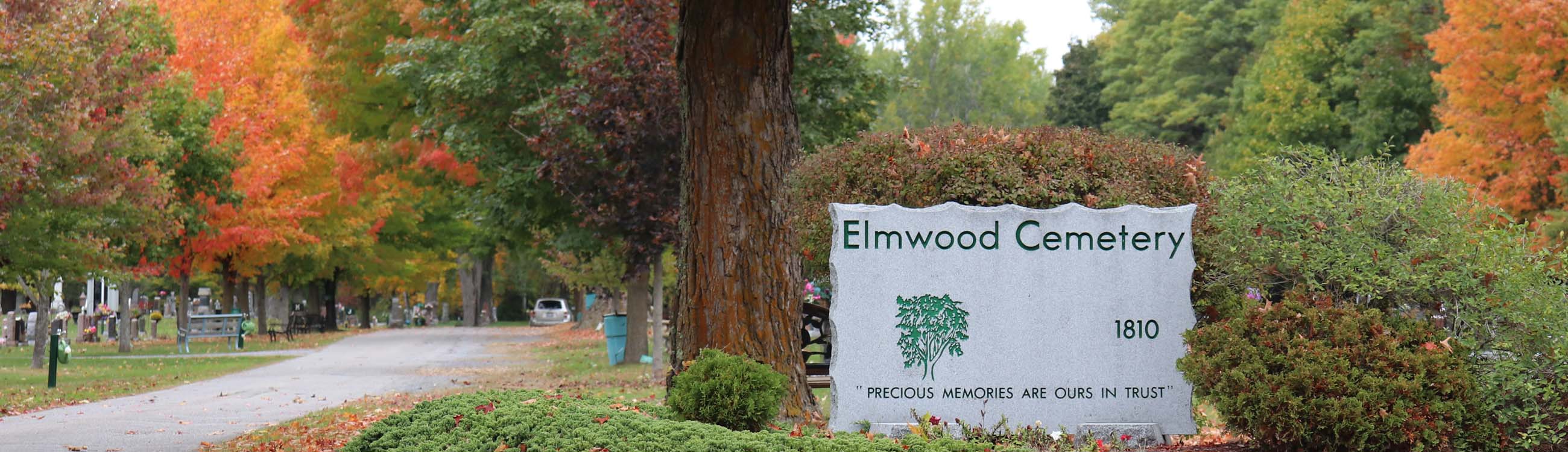 Sign for Elmwood Cemetery and trees with leaves bearing fall colours